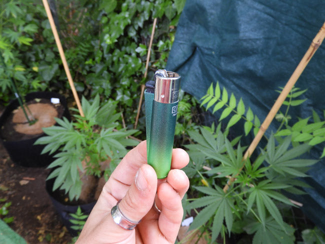 Revés del Mechero Clipper Metallic Gradient 5 color verde degradado